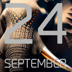 2024 September House EDM Music releases a selection